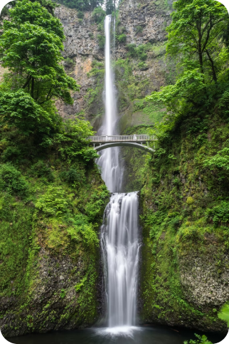 lush waterfall